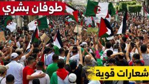 هذه أعداد المتظاهرين الرافضين للعدوان على غزة في الجزائر